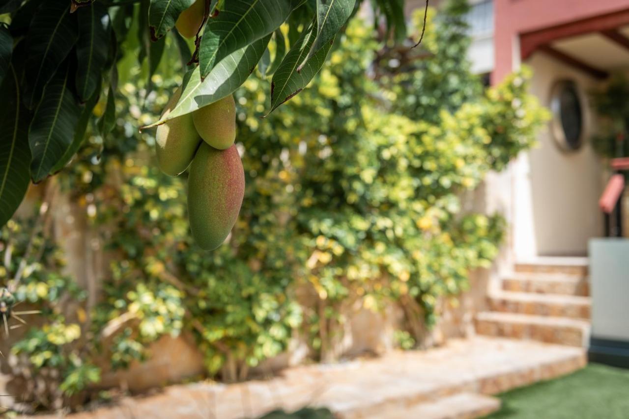 Comfortable 4-Bedroom Villa With Private Gardens أذيخي المظهر الخارجي الصورة
